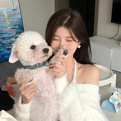 世界街头女斗士3